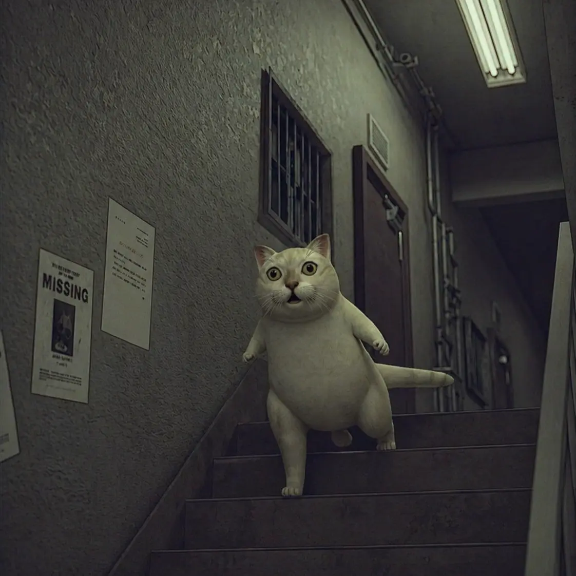 MURCAT meme 7